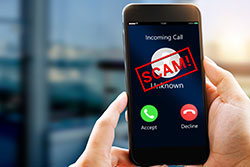telephone with the word scam